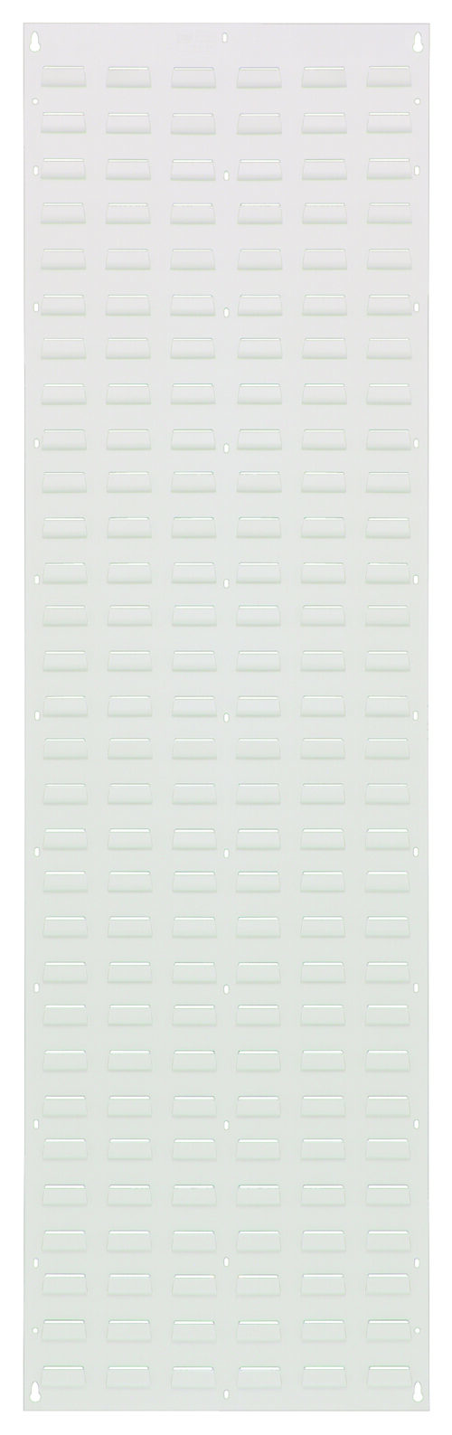 Quantum Storage 18 in.  X 61 in.  Louvered Panel Hc