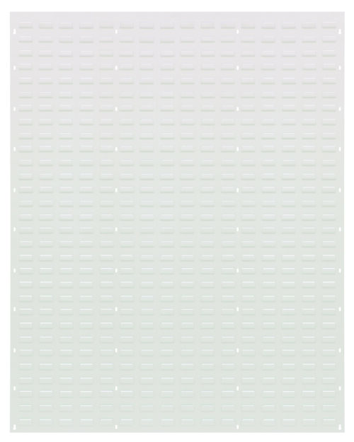 Quantum Storage 48 in.  X 61 in.  Louvered Panel Hc